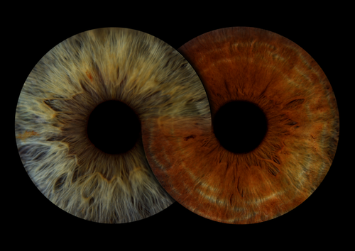 Infinity (1)