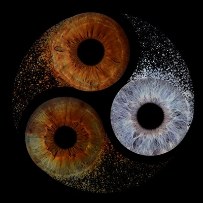Eye Candy Iris Ying Yang image.